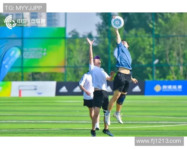 西安飞盘队运营分析：成功经验与面临挑战的全面探讨