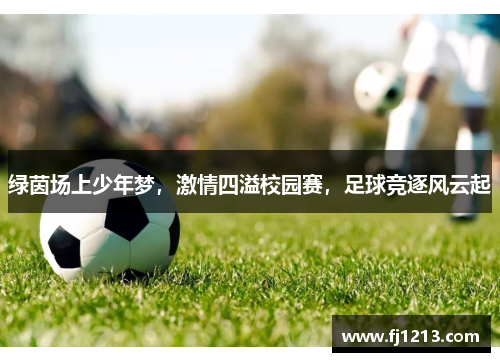 绿茵场上少年梦，激情四溢校园赛，足球竞逐风云起