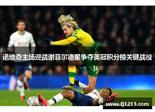 诺维奇主场迎战谢菲尔德星争夺英冠积分榜关键战役