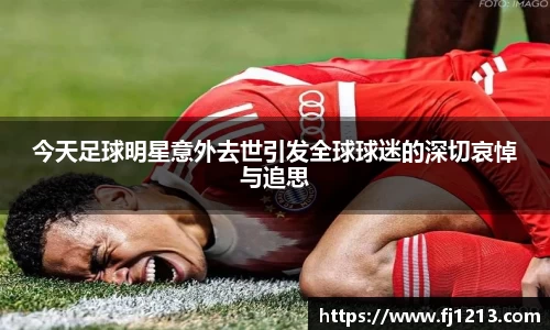 完美(中国)体育