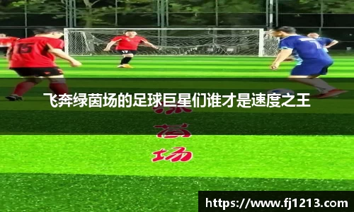 完美(中国)体育