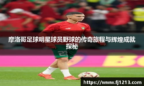 完美(中国)体育