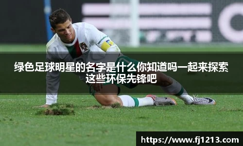 完美(中国)体育